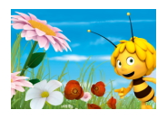 Die Biene Maja und der NABU - gemeinsam für den Insektenschutz