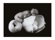 Anne Geddes will personally autograph her baby photographs at the NY Toy Fair