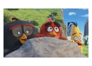 Maurizio Distefano Licensing announces many more Angry Birds licensees
