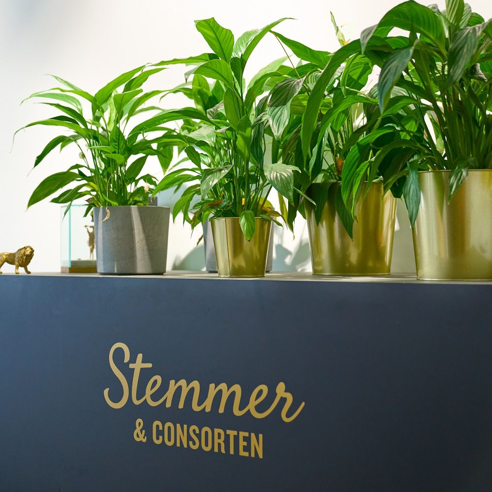 München: Stilvoller Arbeitsplatz im Herzen von Kreativität - STEMMER & CONSORTEN