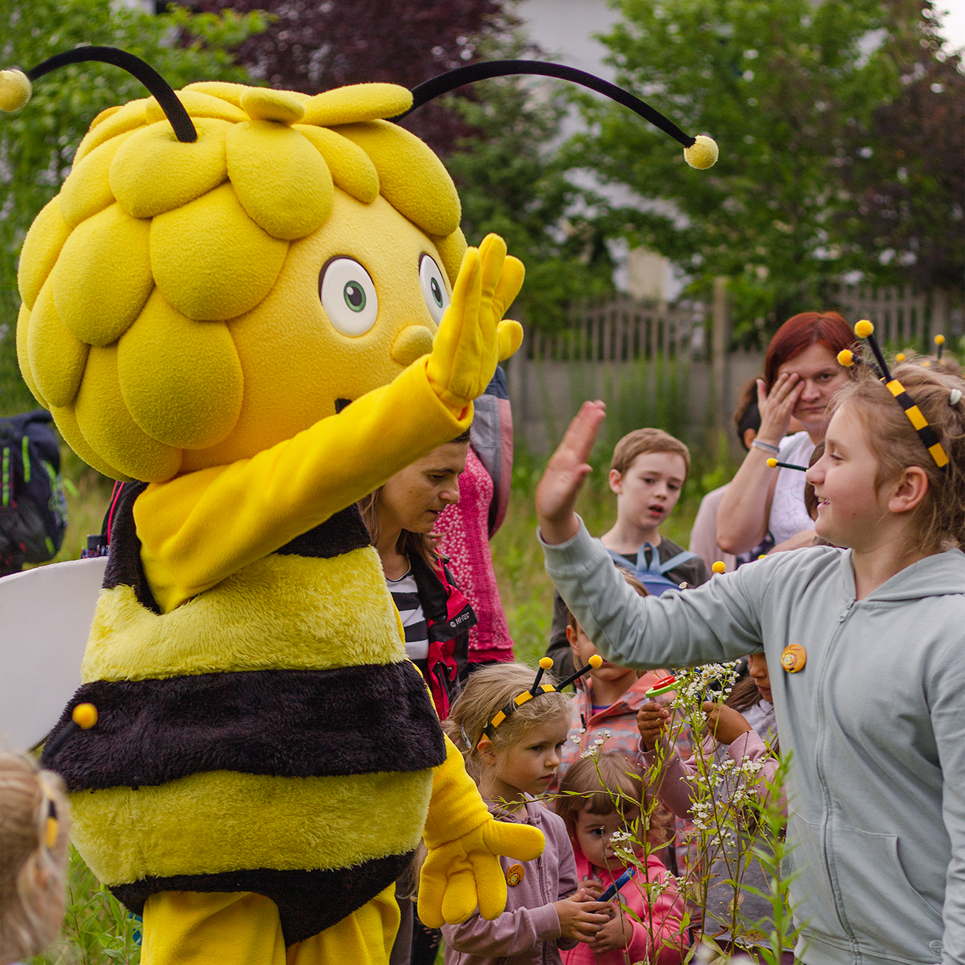 Die Biene Maja: 2023 "nichts" tun für den Artenschutz