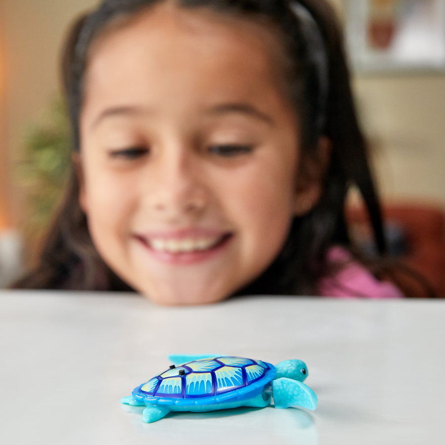 Robo Fish trifft Robo Turtle