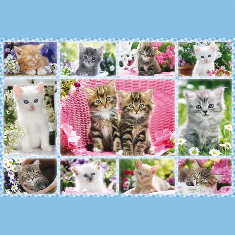 Schnurrige Spielideen zum Weltkatzentag – für kleine und große Katzenfans