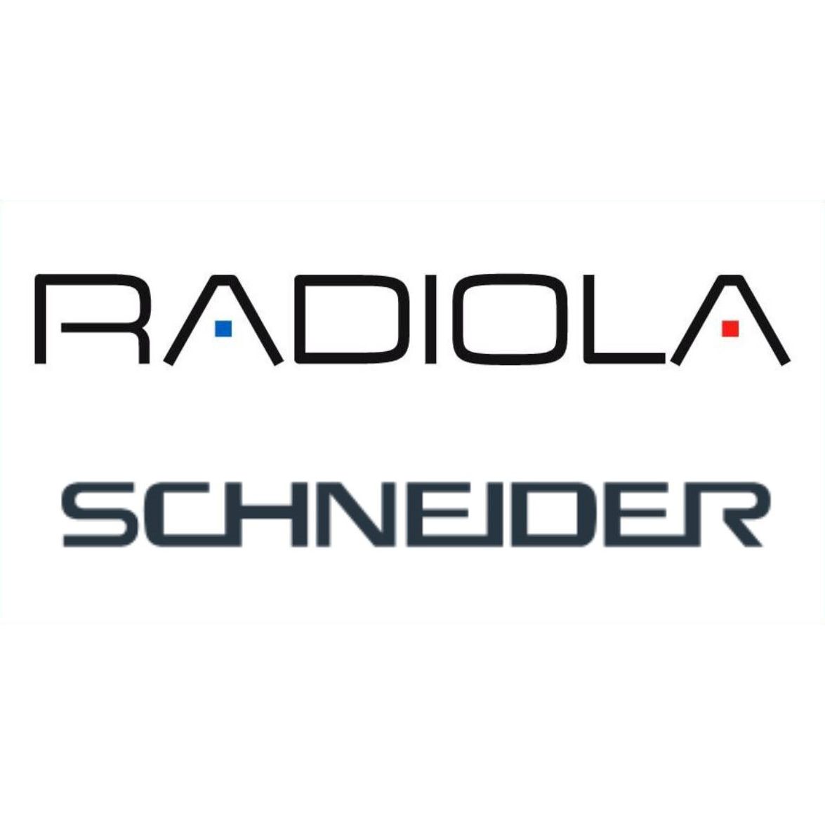 Established. Acquires Schneider and Radiola Brands